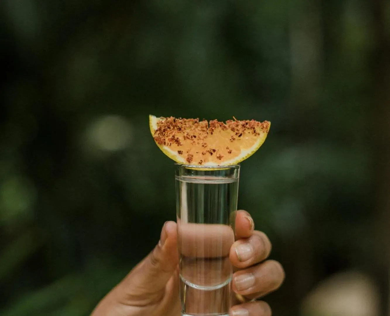 Copal Tulum Hotel Aparthotel